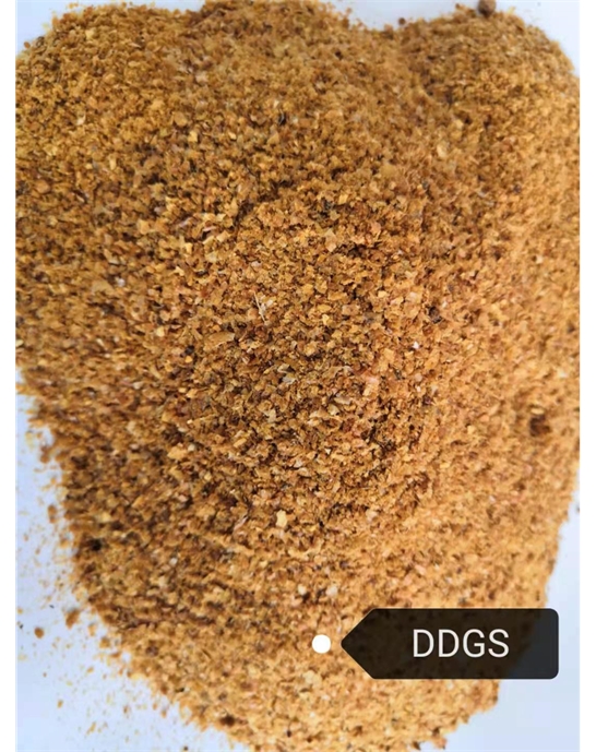 DDGS 被低估的谷物副产品，饲料与能源领域的绿色宝藏